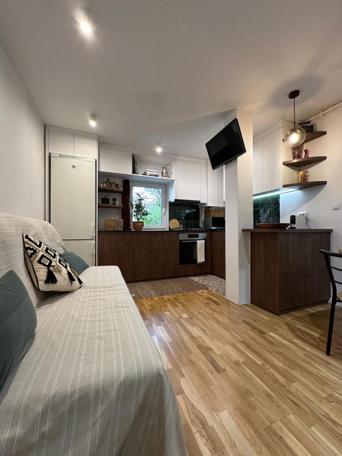 Zora Apartment Cluj Napoca Bagian luar foto