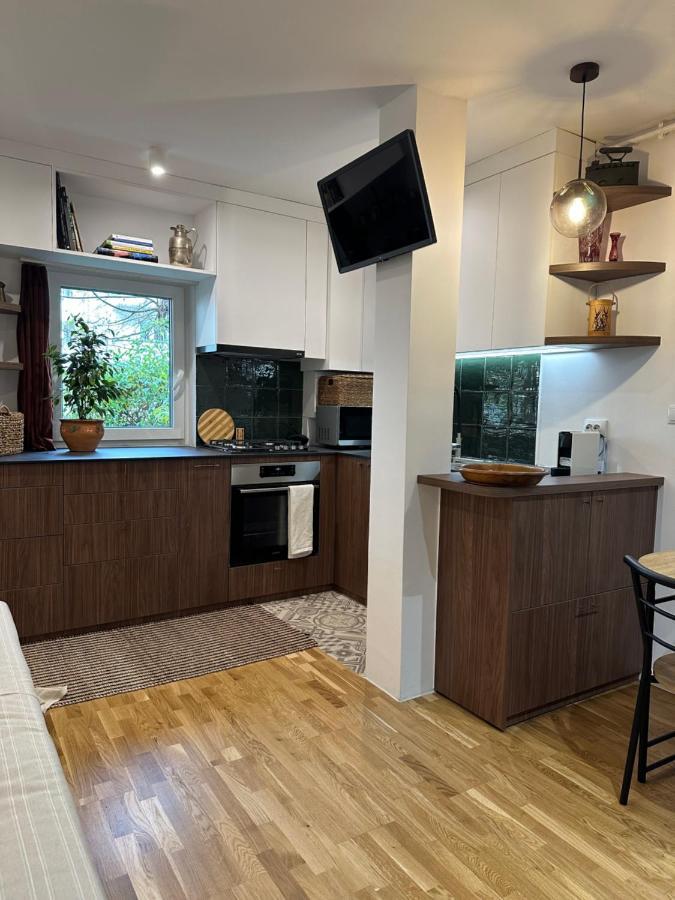 Zora Apartment Cluj Napoca Bagian luar foto