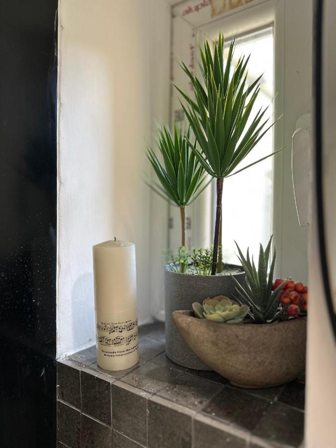 Zora Apartment Cluj Napoca Bagian luar foto